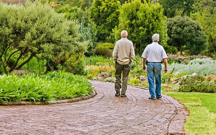 Blijven wandelen houdt de hersenen in conditie