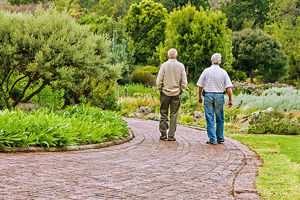 Blijven wandelen houdt de hersenen in conditie