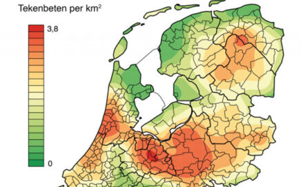 Jaarlijks meer dan 1 miljoen tekenbeten in Nederland!