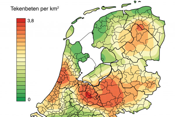 Jaarlijks meer dan 1 miljoen tekenbeten in Nederland!