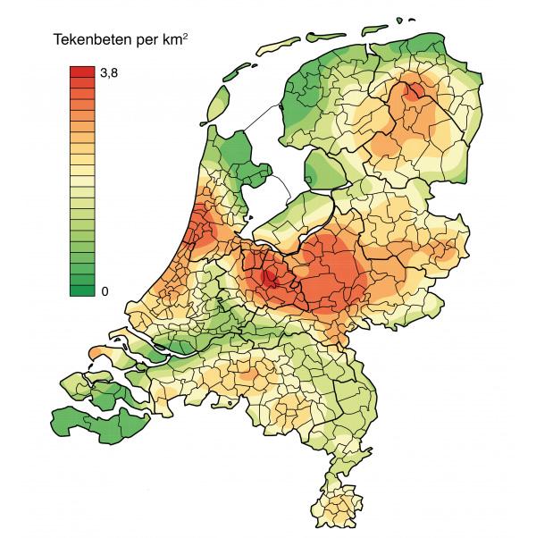 Jaarlijks meer dan 1 miljoen tekenbeten in Nederland!