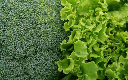 Vitamine K-tekort, gevaarlijker dan je denkt