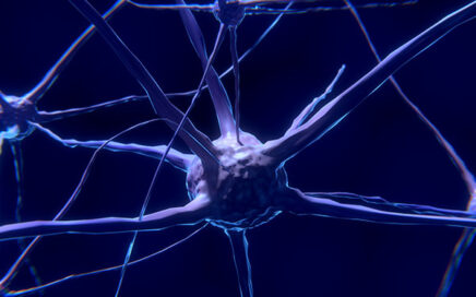 Zink van cruciaal belang voor neurale ontwikkeling bij het jonge kind