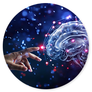 BrainWork - 6-daagse masterclass