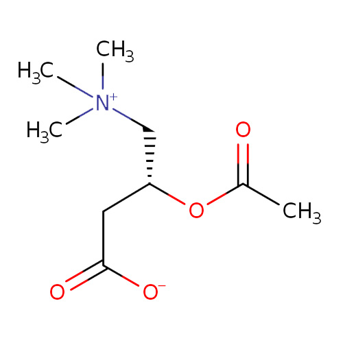 Acetyl-L-Carnitine