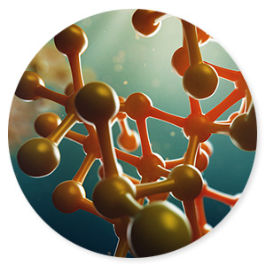 Acetyl-l-carnitine