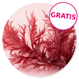 Gratis webinar Astaxanthine