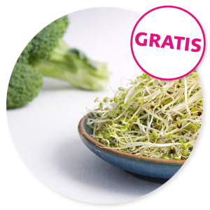 Gratis webinar Broccolikiemen