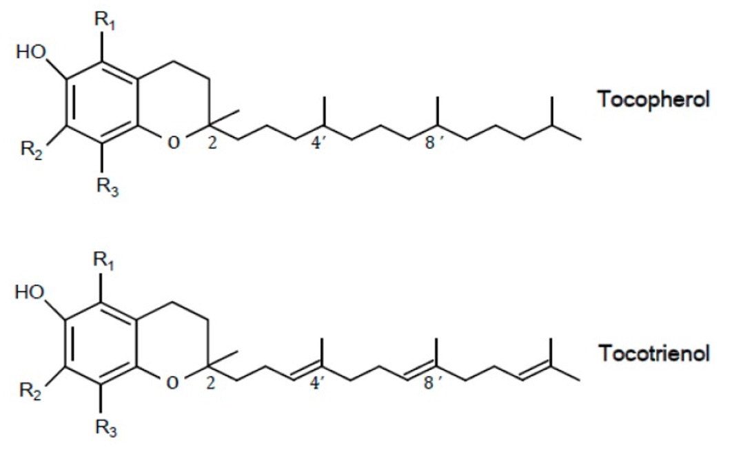 tocoferolen en tocotriënolen