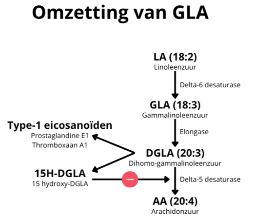 Omzetting van GLA