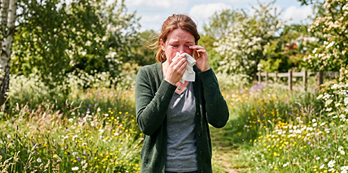 Flavonoïde quercetine in beeld bij hooikoorts